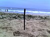 04-02-07_1749.jpg